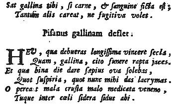 Bernardino Berardino Rota